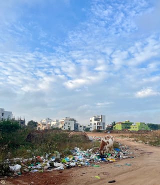 ಕಸ ಮತ್ತು ಪವಿತ್ರ ಹಸು / The trash and the holy cow